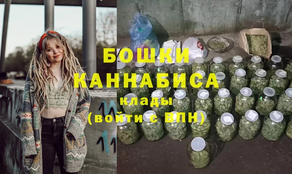 СК Няндома