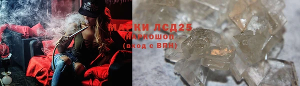 прущие грибы Нягань