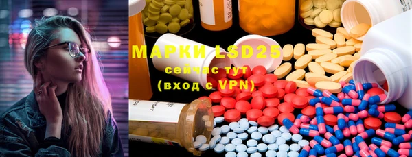 прущие грибы Нягань