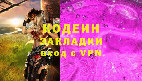 СК Няндома