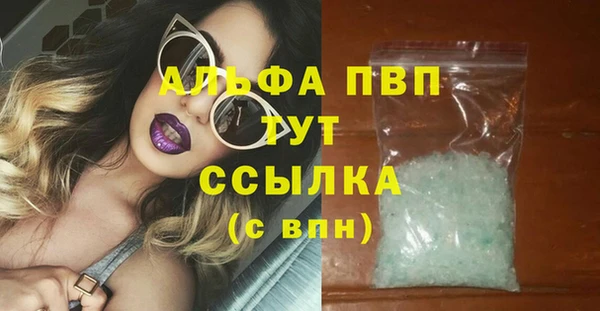 прущие грибы Нягань